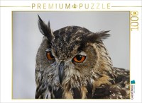 Calvendo Puzzle Yes | 1000 Pieces, Finished Size 25.2 × 18.9 In (64 × 48 Cm) | P