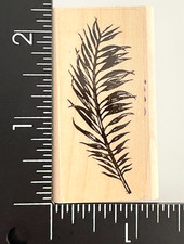 Stampscapes Frond 2 Flower Plant Leaf Palm Fern Feather 137C Rubber Stamp