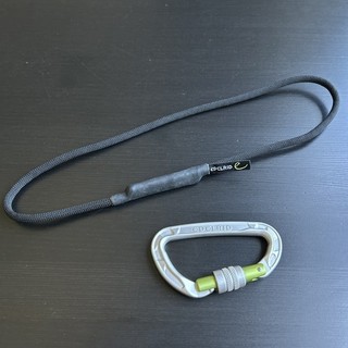 EDELRID Standplatzschlinge Sicherungsschlinge mit Schraubkarabiner Grün Schwa