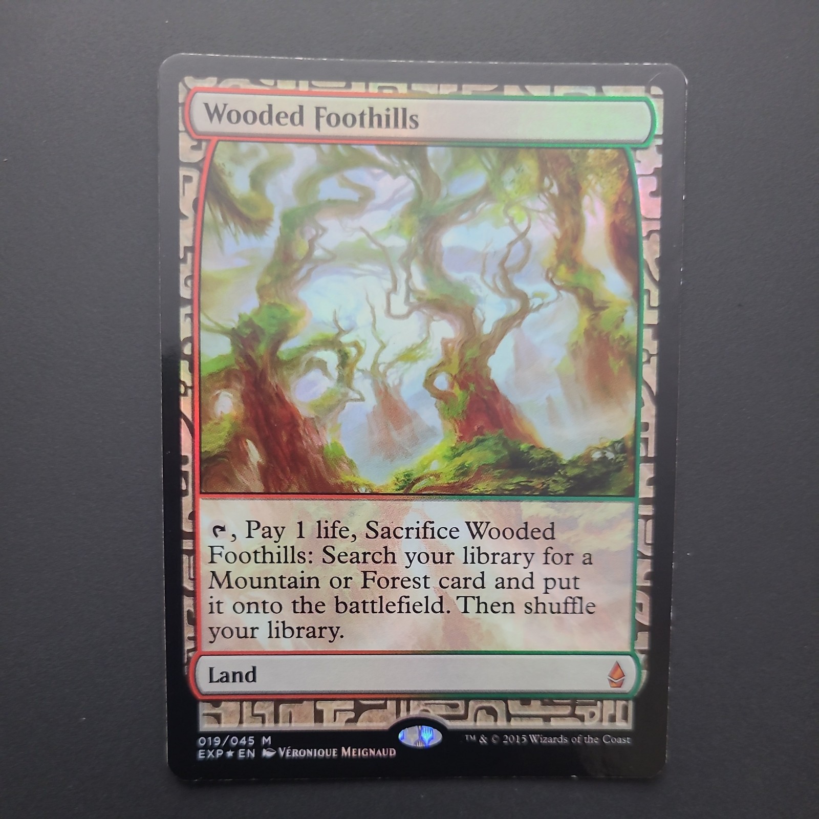 Foil Wooded Foothills Battle For Zendikar Expedition MtG Magic NM Near Mint Land