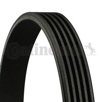 Continental Ctam Keilrippenriemen FüR Alfa Romeo BMW Fiat Hyundai KIA Lancia
