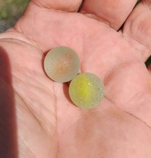 2 Genuine Sea Glass Marbles Red Core Yellow Core Beach Cat Eyes