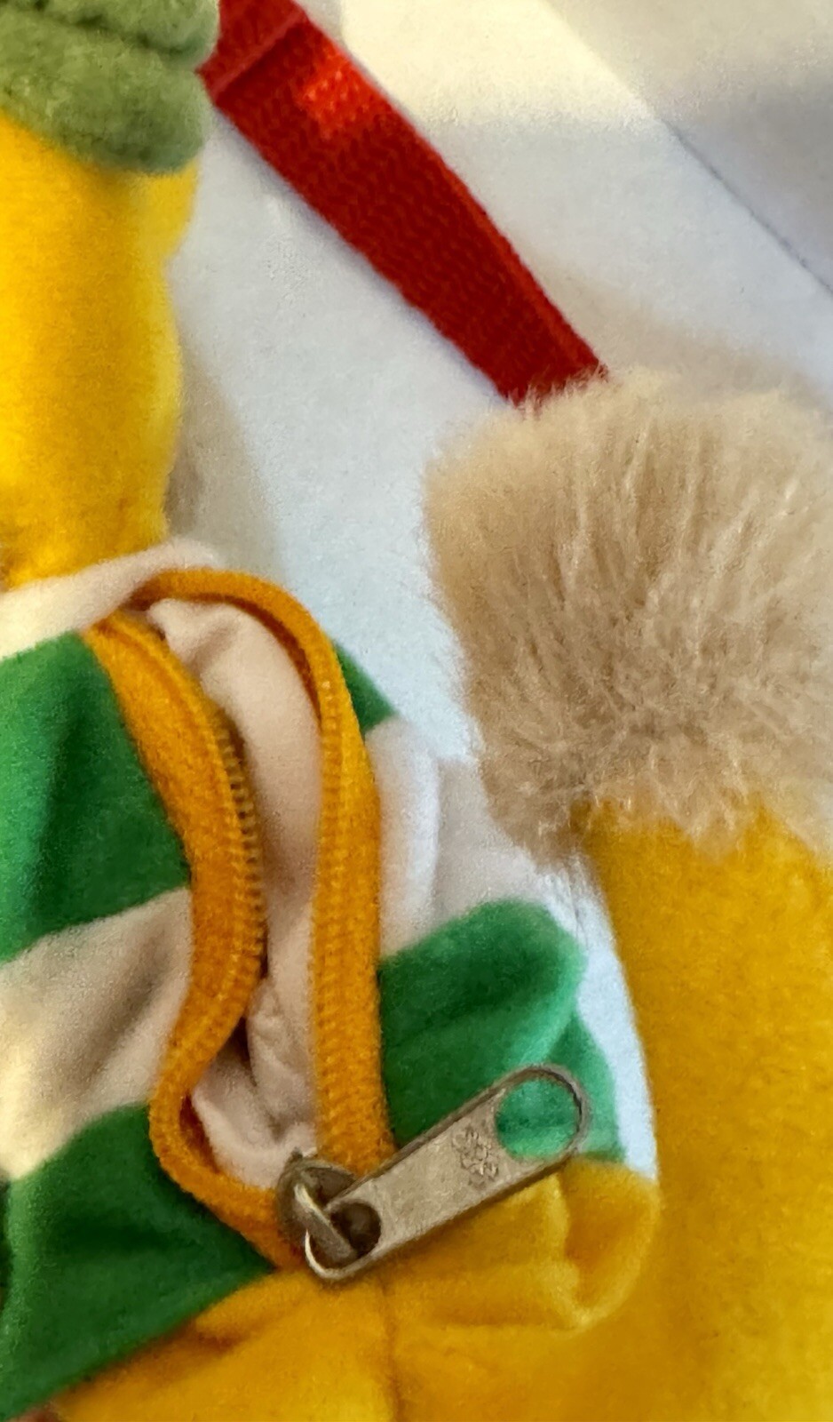 Bild 6 von 11