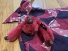 Foto 3 di 8