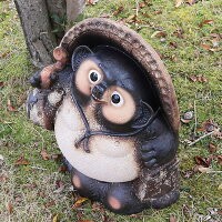 Shigaraki Ware Tanuki Statue No.20  Koshigaraki Fukufuku 