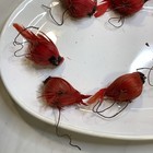 VTG RED CARDINAL BIRDS 7 Fat & 3 Thin w/ REAL FEATHERS  Plastic Bodies ORNAMENTS — photo 2