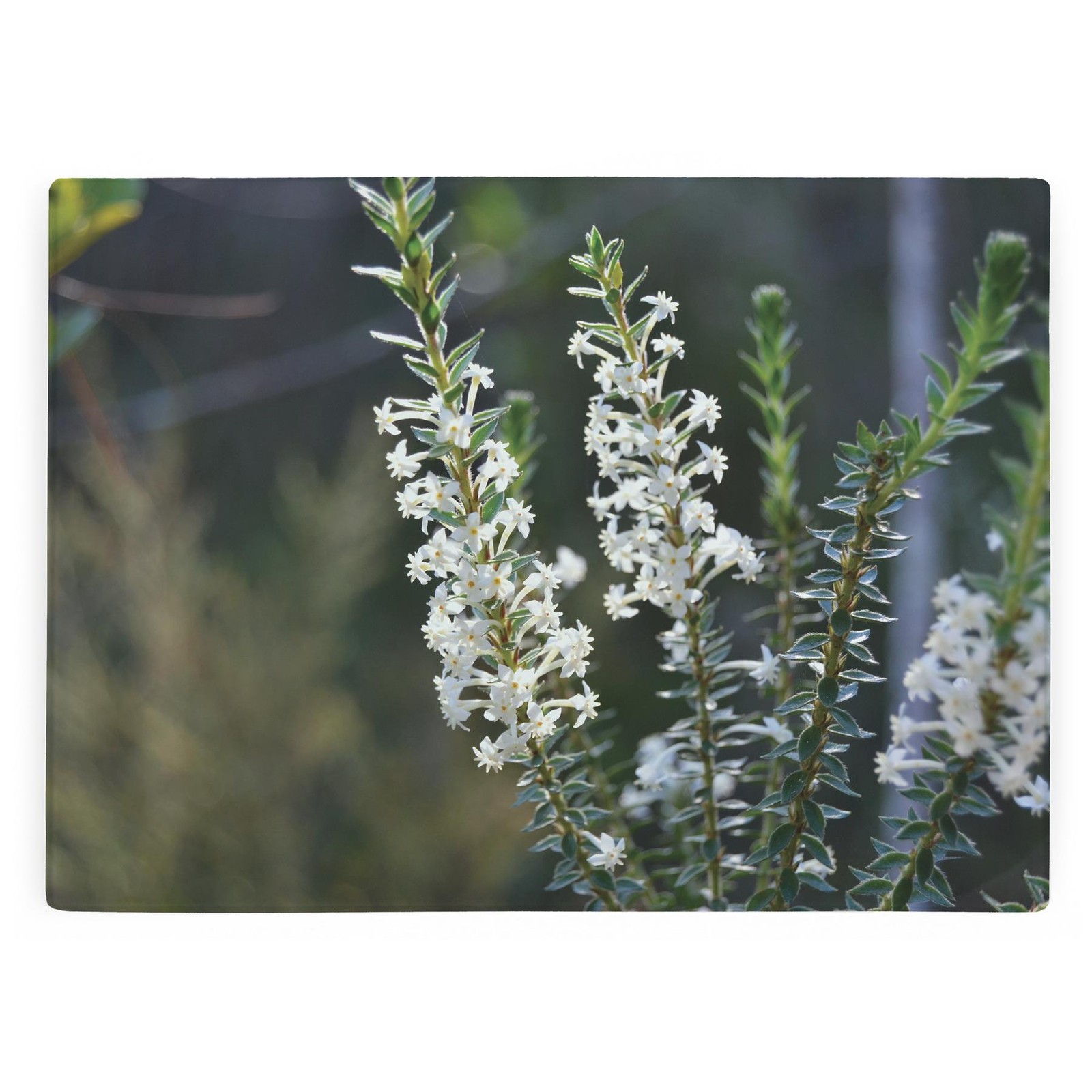 White Ditsy Flowers Glass Worktop Protector/Cutting Board - Floral Kitchen Gifts