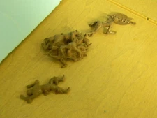 Conte Zulu Clump with 2 extra figures unpainted plastic 1/32nd