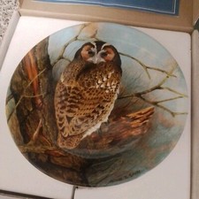 Coalport "Tawny Owl" by Michael B Sawdy Wall Plate 1990 Boxed with Certificate