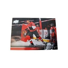 2010 Upper Deck #391 Sergei Gonchar Ottawa Senators NHL Hockey Card (D8