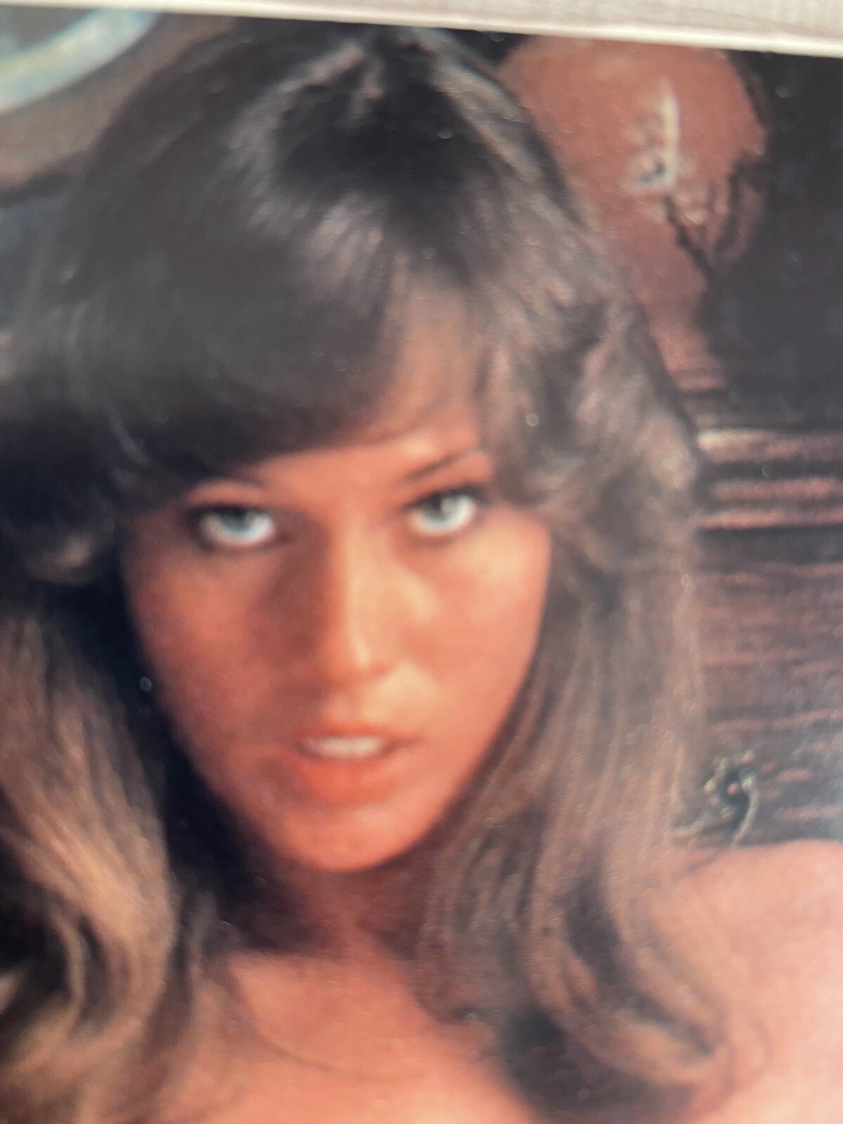 SOLO COVER PLAYBOY-RITAGLI-TERRI WELLES, LINDA KERRIDGE,WANDA HUIZENGA