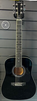Chicago by Freshman Acoustic 36'' Junior Mini Dread Stahlsaite