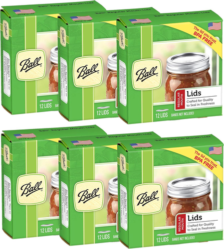 Regular Mouth Lids for Glass Mason Jars, Used for Canning, Pickling, Juice, Jam,