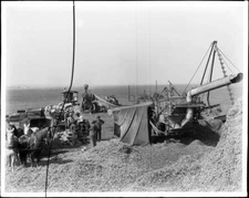 Bean threshing operation on the Centinela Ranch 1903 California Old Photo