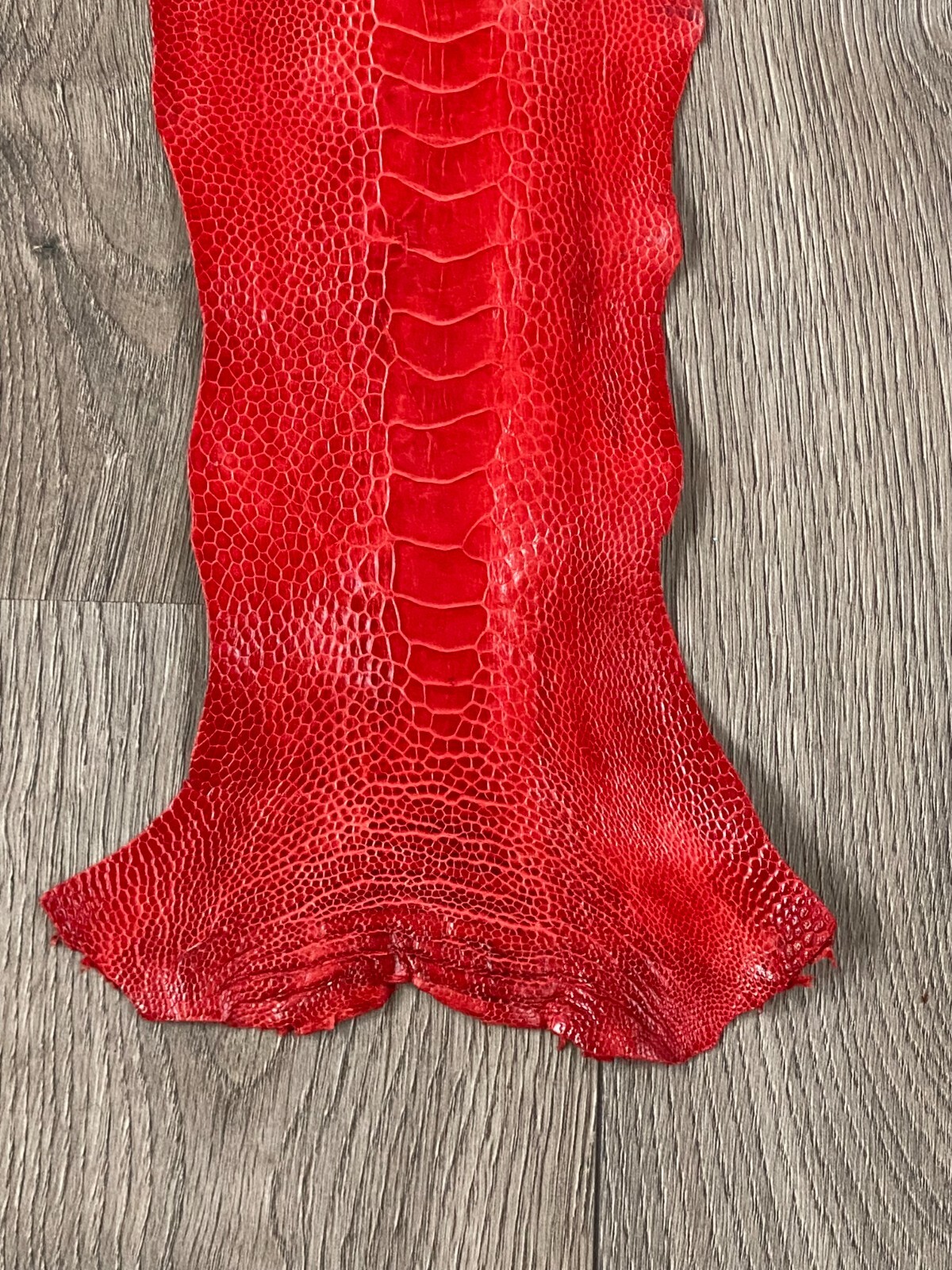 Picture 4 of 6