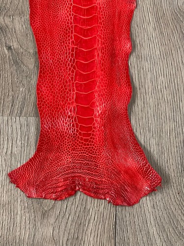 GENUINE OSTRICH LEG SKIN LEATHER HIDE EXOTIC LEATHER - Picture 4 of 6
