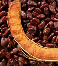 Tamarind Seed WHOLE, Imli Bee FREE SHIPPING 250gm