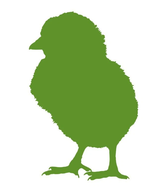 Swell Reptiles | Frozen Chicks for Snakes | Premium Reptile Food | Various Sizes