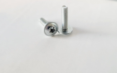 Miele Dishwasher Toe Kick Plate Screws #6394771 CM4X16 mm