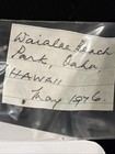 Nerite Shell Collection 6 Types All W/collection Data (S517) — photo 10