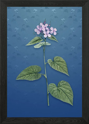 Morning Glory Blume gerahmtes Wandbild Poster Leinwanddruck Bild