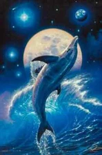 2010 DOLPHIN BALANCE OF LIFE POSTER CHRISTIAN RIESE LASSEN NEW 22x34 FREE SHIP