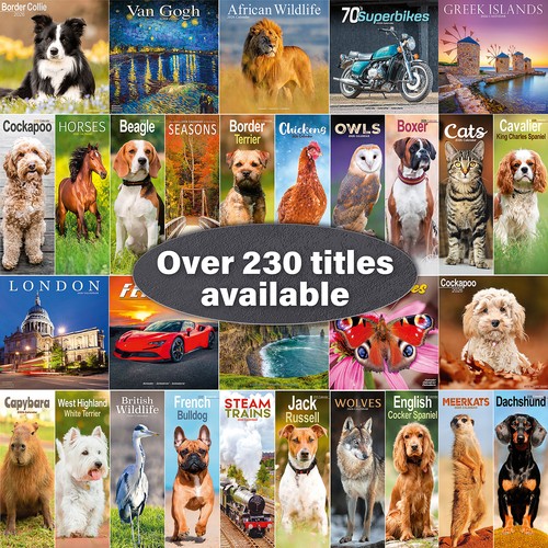 Pug Slim 2026 Calendar | Slimline Dog Breed Gift 15% OFF MULTI ORDERS - Picture 8 of 8