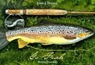 Go Fish: Fishing Journal - spiral_bound Prosek, James