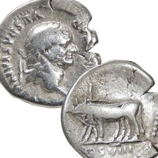 VESPASIAN / OXEN, COS VIII. Roman Silver Denarius Coin. Rome mint. Scarce in RIC