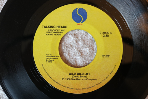 TALKING HEADS "Wild Wild Life / People Like Us" 7" Single 45 - Sire Records - Picture 8 of 8