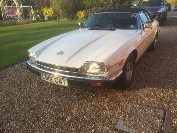 eBay - Jaguar XJSC targa 3.6L Manual 1...