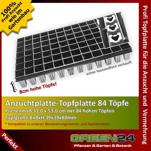 Topfplatte 84 Extrahoch eckig Anzuchtplatte Topfpalette Anzuchtpalette stabil - Bild 1 von 2