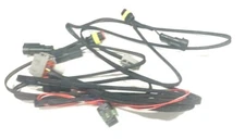 Wiring Harness DTM06-12S 