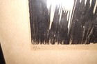 Picture 7 of 12