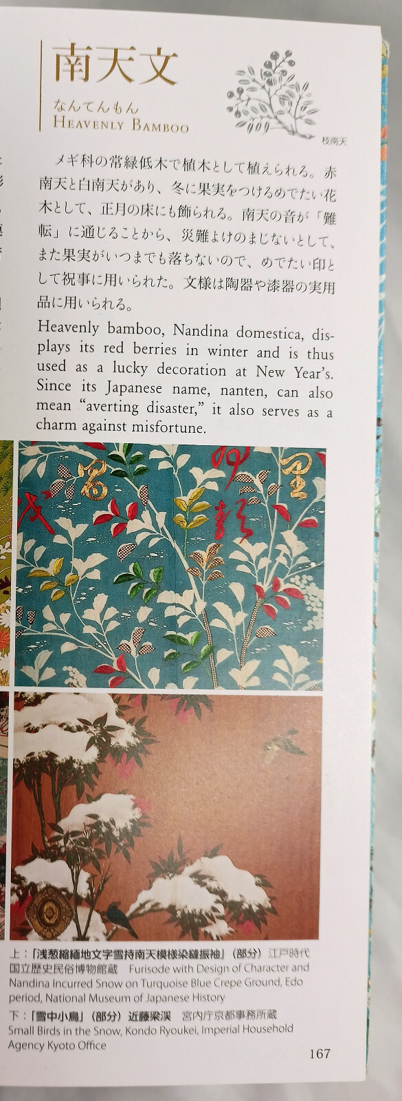 Picture 11 of 24