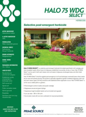 tenacity herbicide Mesotrione Pre Emergent  United Seeds