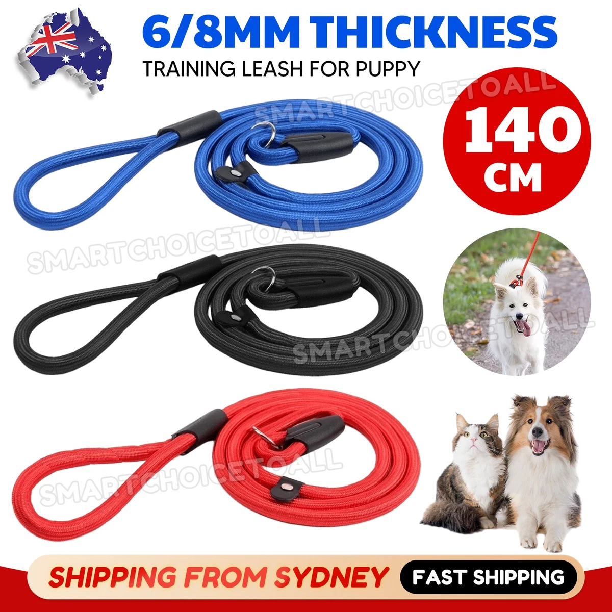 Slip Puppy Lead Nylon Rope Dog Training Correction Leash Pets Cesar Millan AU