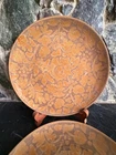 2 pc Red Wing Pottery Dinner Plate Kashmir Acorn Oak Leaf 10.25” MCM VTG 215 246