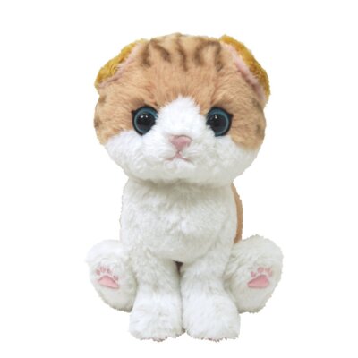 Chiton Scottish Fold Brown Cat Plush Toy