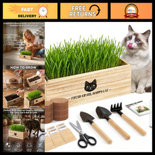 Indoor Cat Grass Growing Kit - Non-GMO Wheatgrass Seeds for Healthy Cats