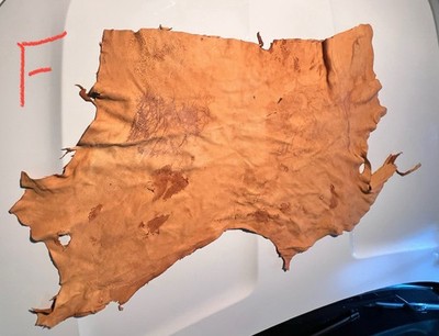 Montana GOLD Deerskin Hide Native Crafts Buckskin Taxidermy 4 Sq/ Ft - 10 OZ