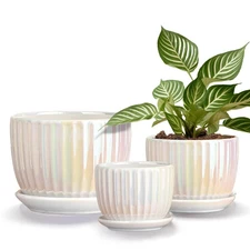 Ton Sin White Plant Pots,Pearl Gold Ceramic Flower Pots 4"+5"+6" Inch Indoor ...