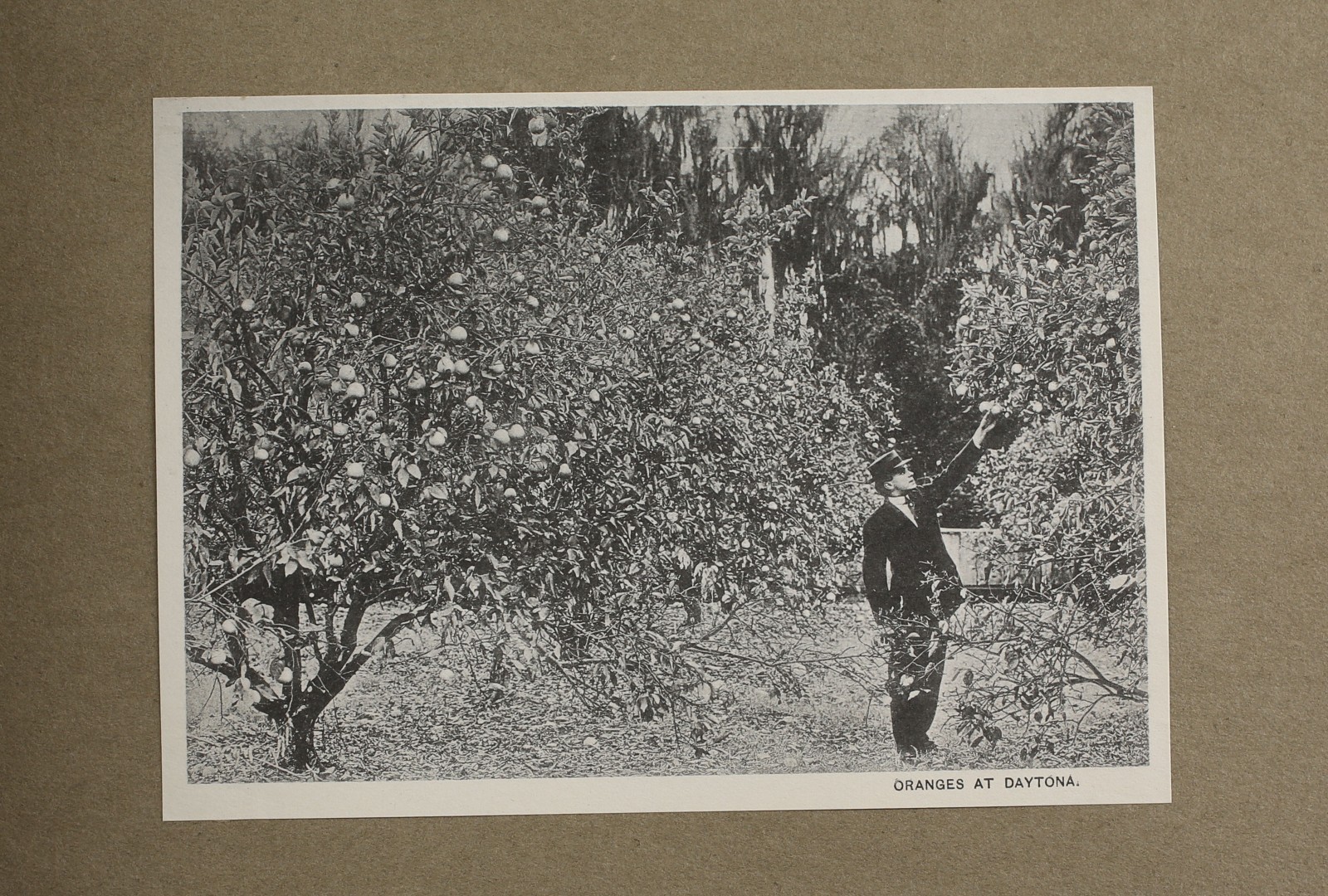 Picture 5 of 10