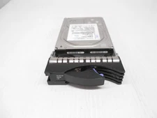 IBM 42D0768 HGST 2TB 7.2K SAS 3.5" Server Hard Drive 6G 42D0771 42D0767 W/ Tray