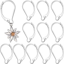12pcs Leverback Earring Hooks, Hypoallergenic Stainless Steel French Silver