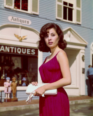Barbara Parkins in Peyton Place Classic Poster Picture Photo Print