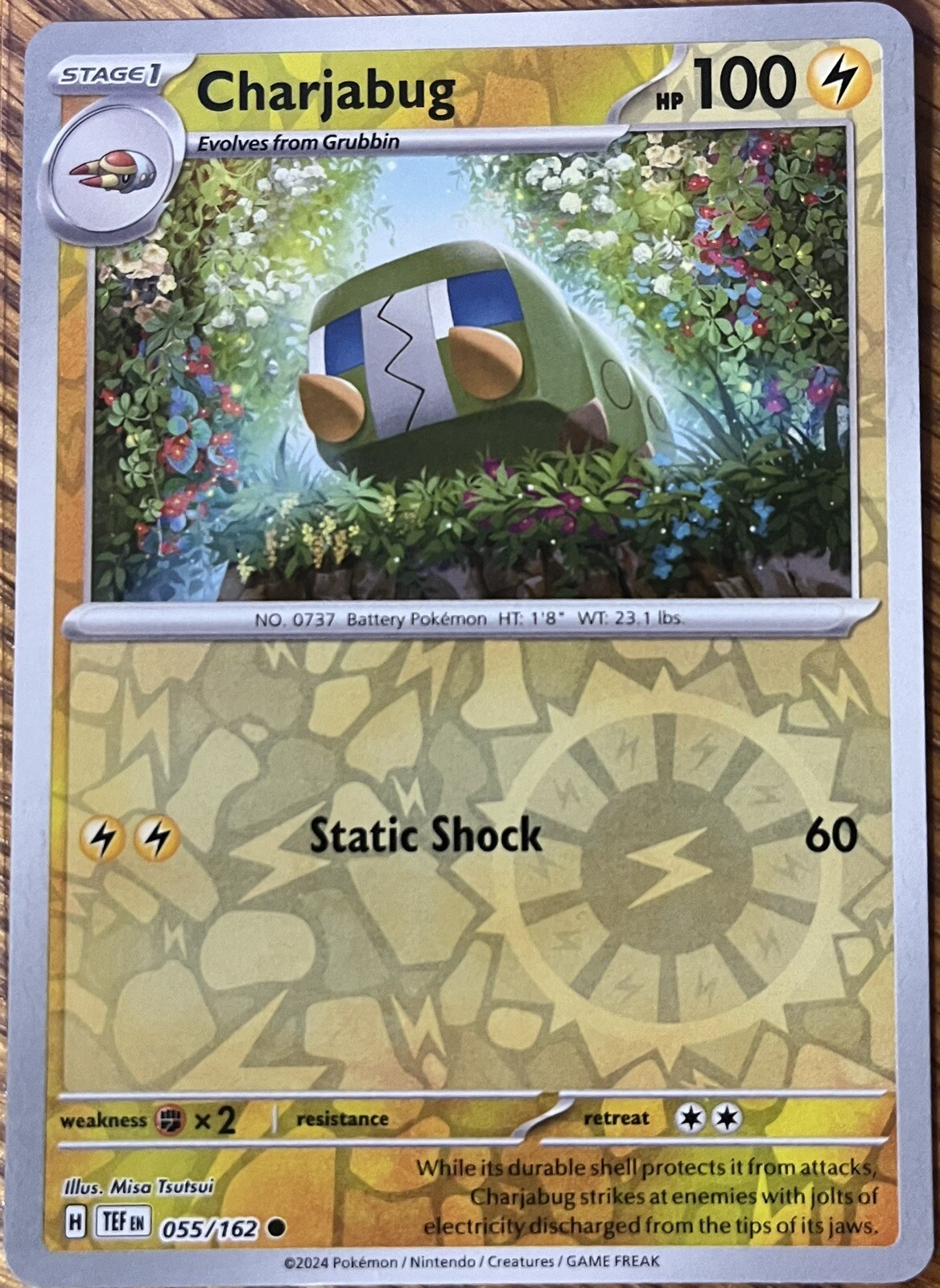 Charjabug 55/162 - Reverse Holo - Temporal Forces - Common - Read Desc.