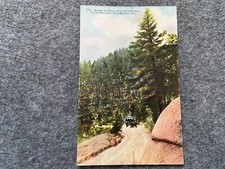 Among the Pines, Crystal Park Auto Trip, Manitou, Colorado Vintage Postcard