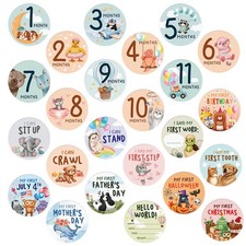 Set of 24 Unique Baby Monthly Stickers Milestone Photo Props for Newborn