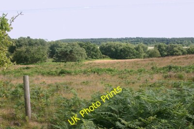 Foto 6x4 Blick nach Südosten vom Parkplatz Lodge Road, Walberswick Blythburg c2015